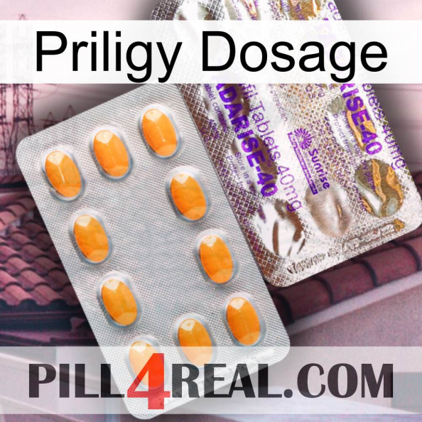 Priligy Dosage new12.jpg